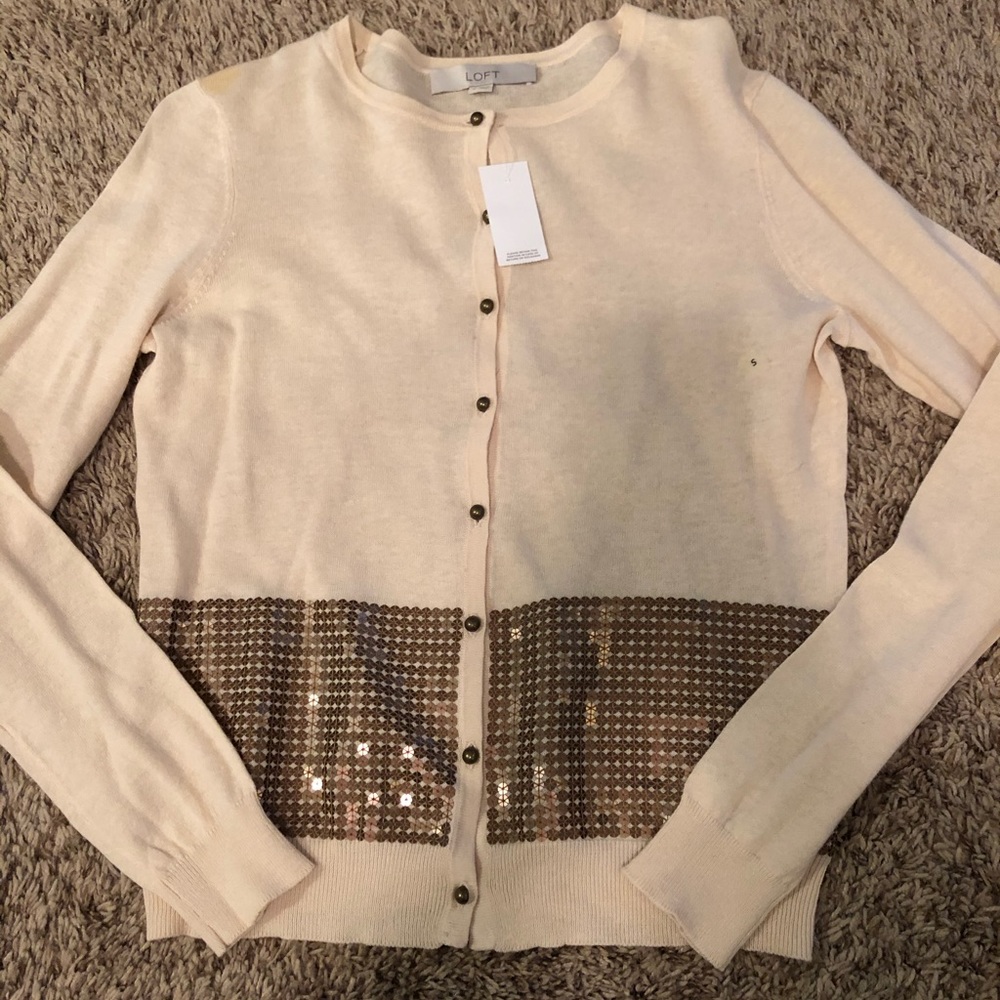 Ann Taylor sweater small